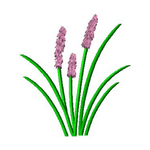 Plant1