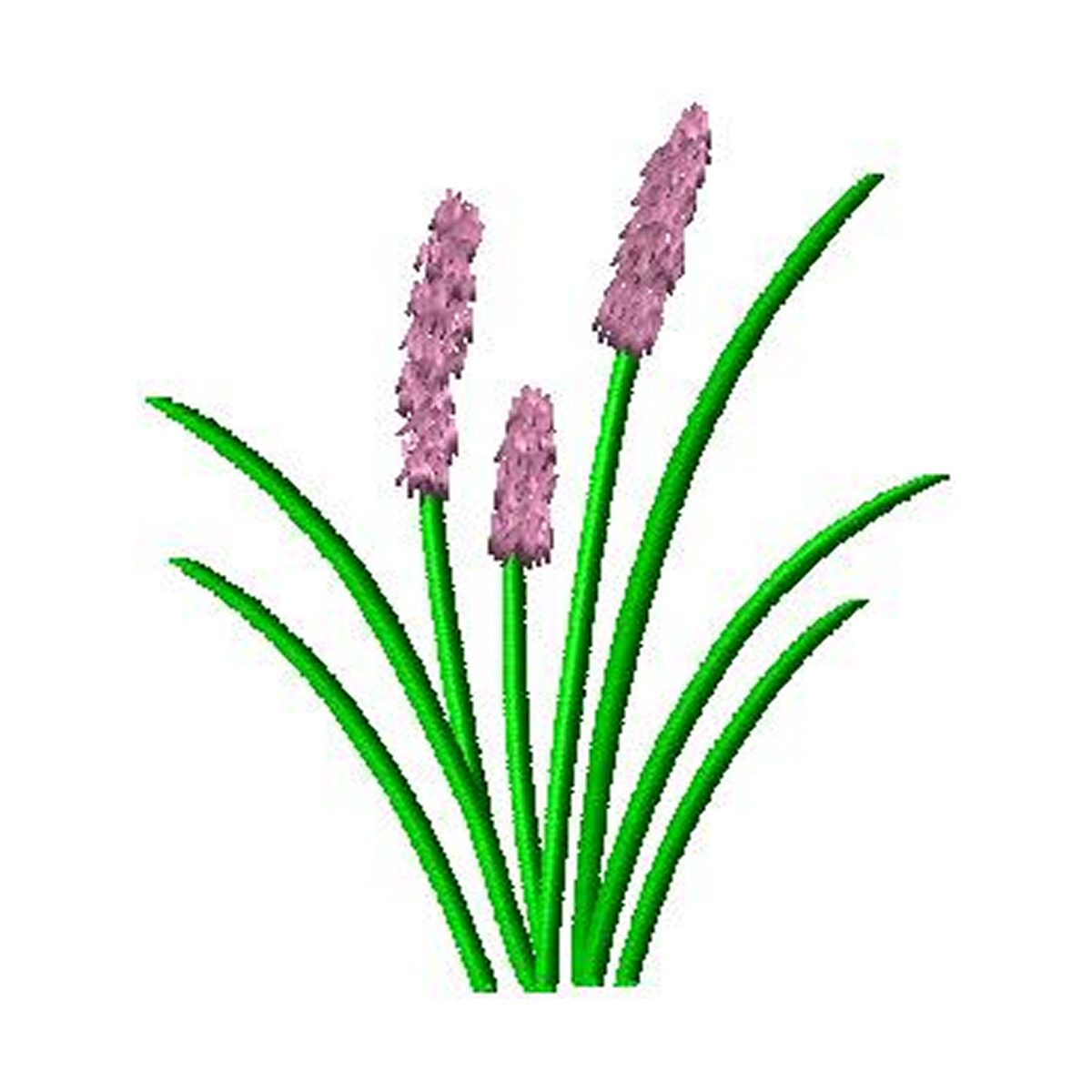 Plant1